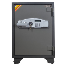 KÉT SẮT TRULY-95E